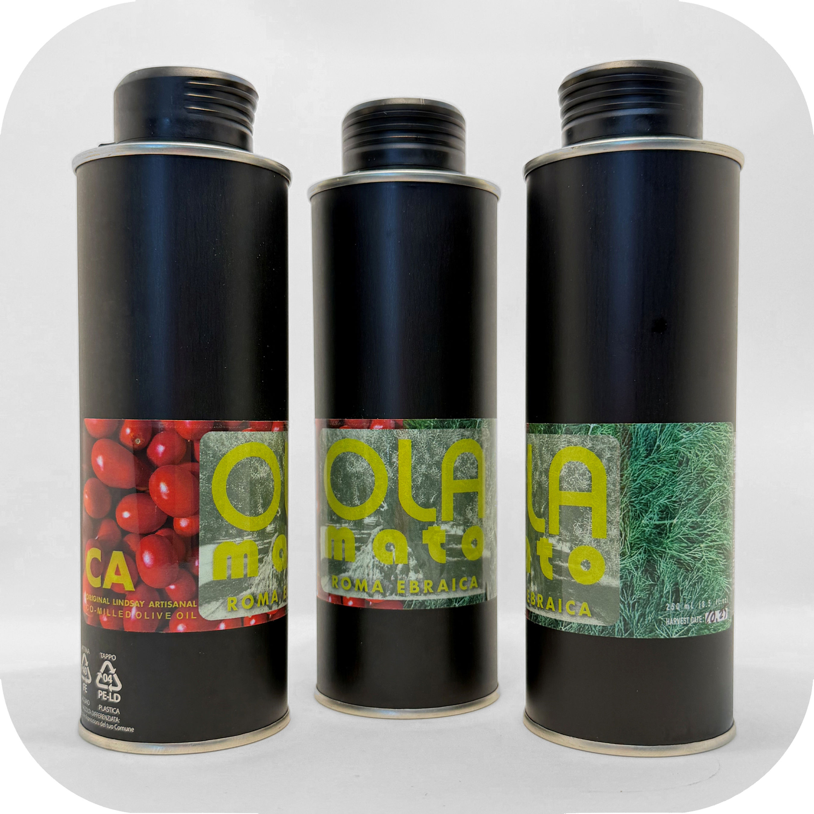 Roma Ebraica - Co-Milled Tomato/ Dill Olive Oil (250ml bottle)