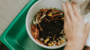 Composting and why its cool