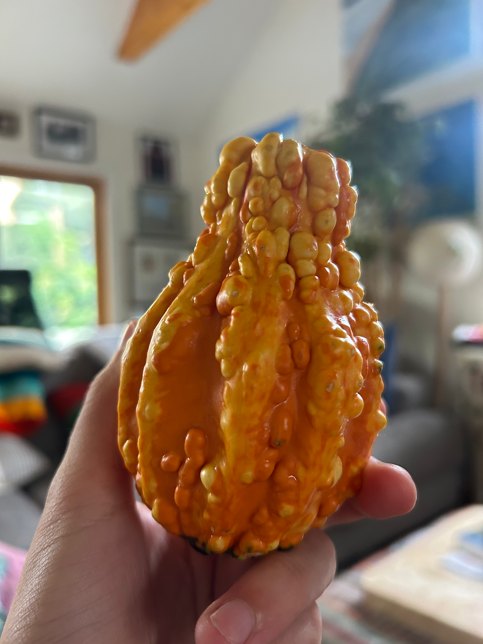 Sustainable Jack-o'-Lanterns