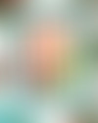 Feeling Merry Featuring Spellbinders All About Christmas Collection