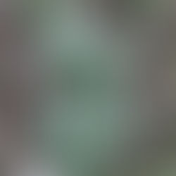 The Future of Walking Tour Experiences .