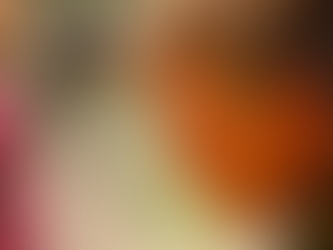 Irish Fans Tell The Best Stories