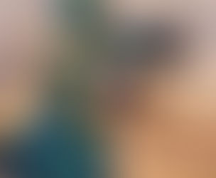 Buying Parrot Eggs Online: What You Need to Know