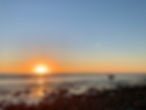 IMG_8894.jpeg