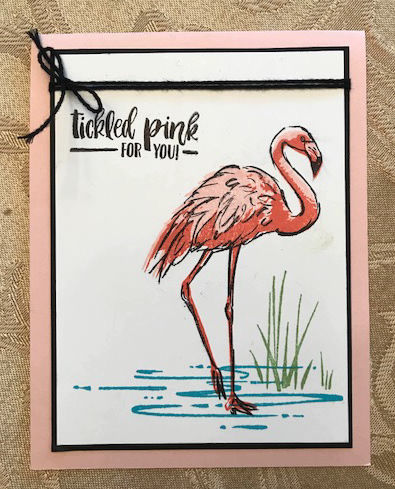 Fabulous Flamingo in Powder Pink...