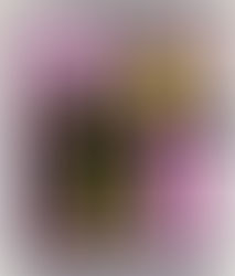 Treat Holder with Spooky Sweet Suite