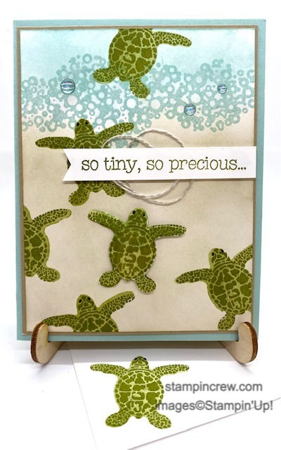 Sea Turtle Baby Card