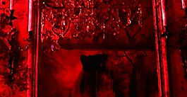 ARTISTA BRASILEIRO EM EXPOSIÇÕES SIMULTÂNEAS NOS EUA