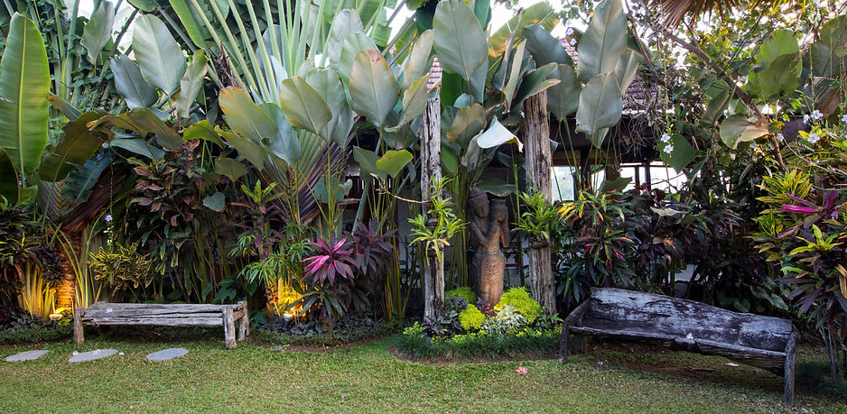 Naya jungle garden