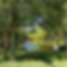 Screenshot 2024-09-24 at 21.42.22.png