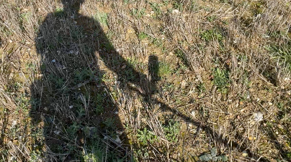 Screenshot 2026-04-13 at 16.09.23.png