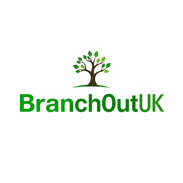 Screenshot 2025-06-10 113538_edited.jpg