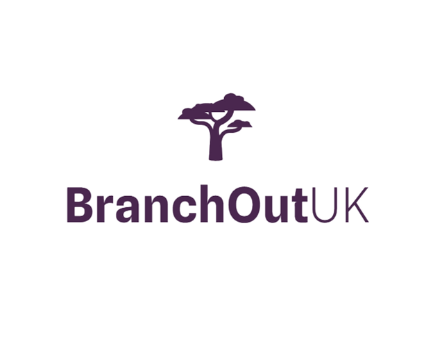 Screenshot 2025-06-10 112528_edited.png