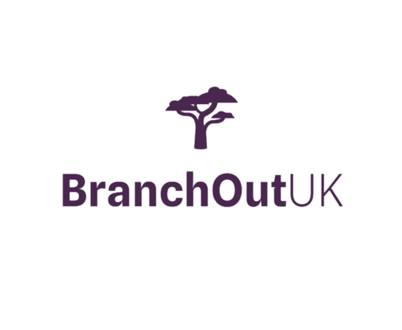 Screenshot 2025-06-10 112528_edited.png