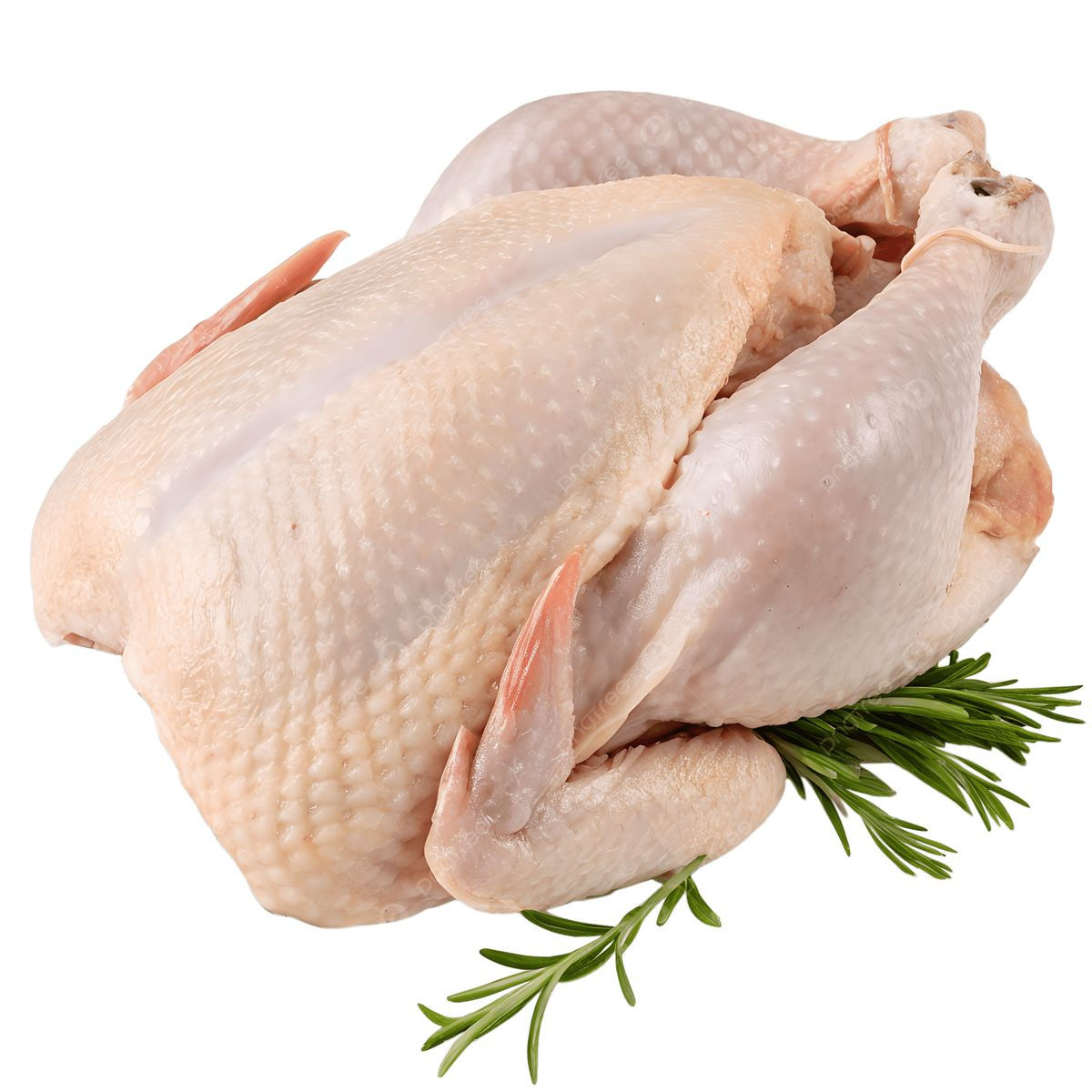 chicken
