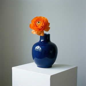 Brand Positioning for Service Provider