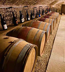 Selection of French wines arranged on a wooden barrel with a panoramic view of the vineyard in the background.