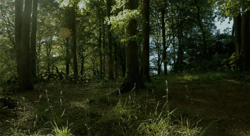 0185c19e4feb78c7491f540bad052f61.gif