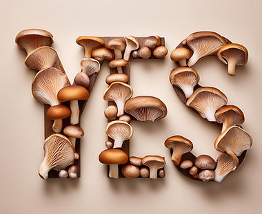 Create an image of the word _YES_ using mushrooms 22-12-2024 at 16-32-19.jpeg