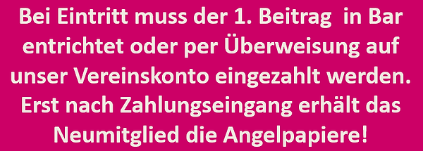 Erst Euro dann Papiere.png