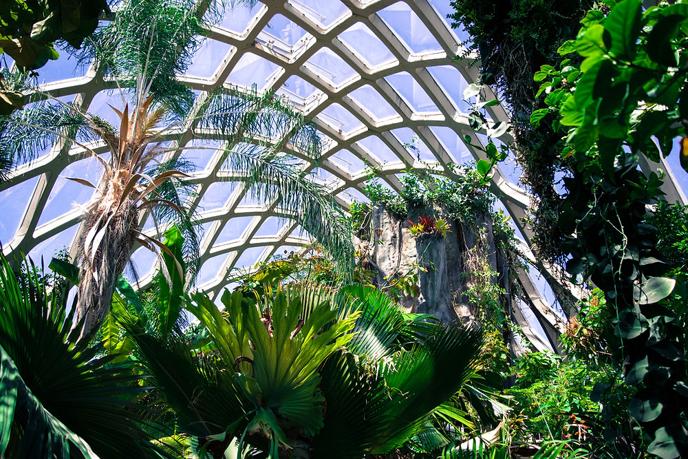 Holly Canon Travel and Lifestyle Blog Denver Botanic Gardens God the Gardener Mother's Day