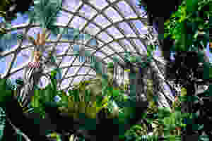Holly Canon Travel and Lifestyle Blog Denver Botanic Gardens God the Gardener Mother's Day