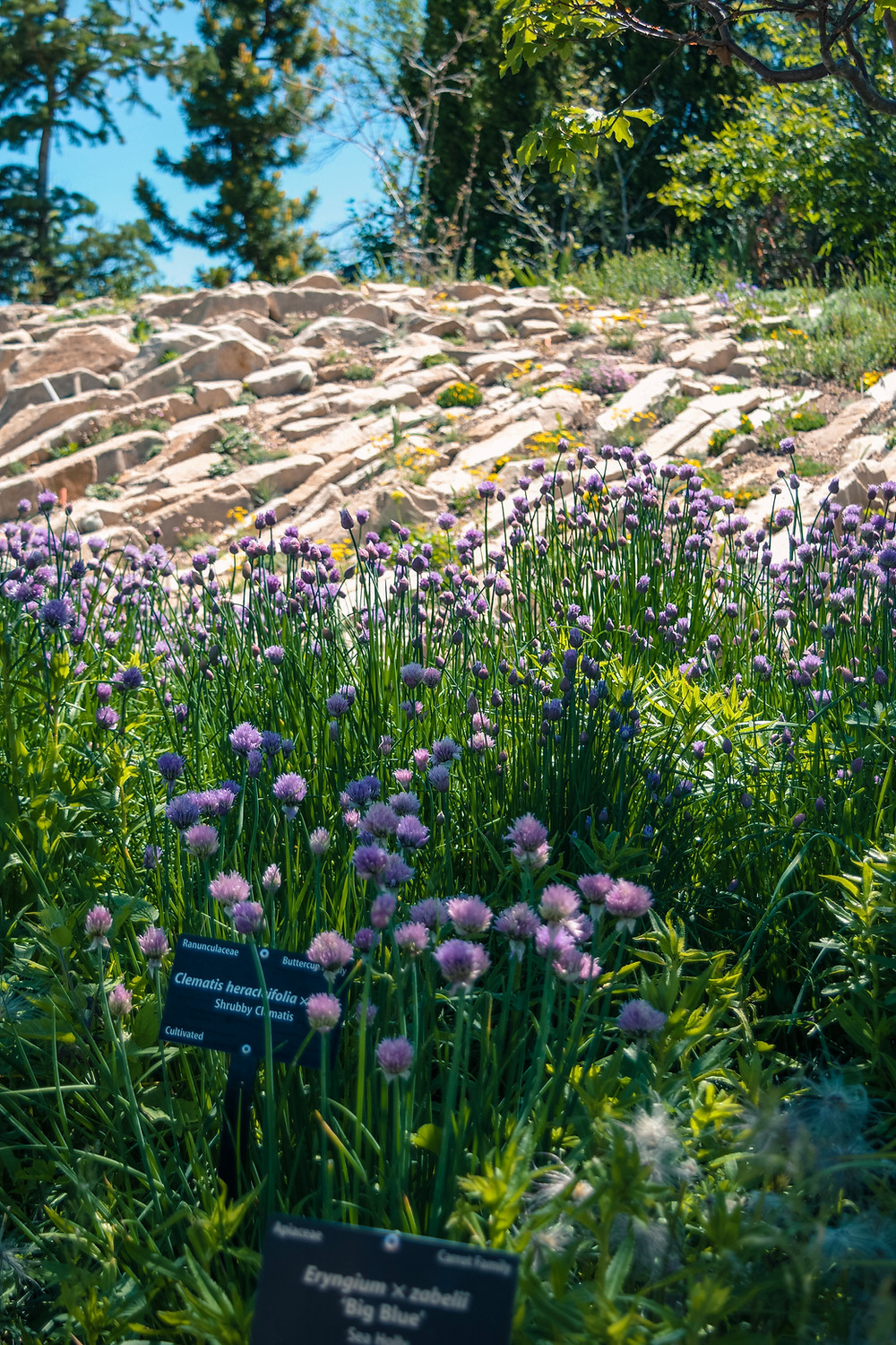 Holly Canon Travel and Lifestyle Blog Denver Botanic Gardens God the Gardener Mother's Day