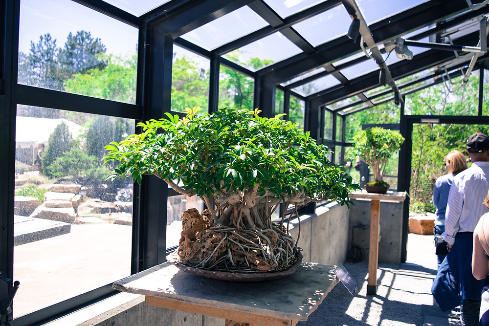 Holly Canon Travel and Lifestyle Blog Denver Botanic Gardens God the Gardener Mother's Day