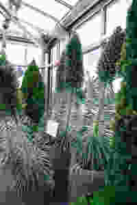 Holly Canon Travel and Lifestyle Blog Denver Botanic Gardens God the Gardener Mother's Day
