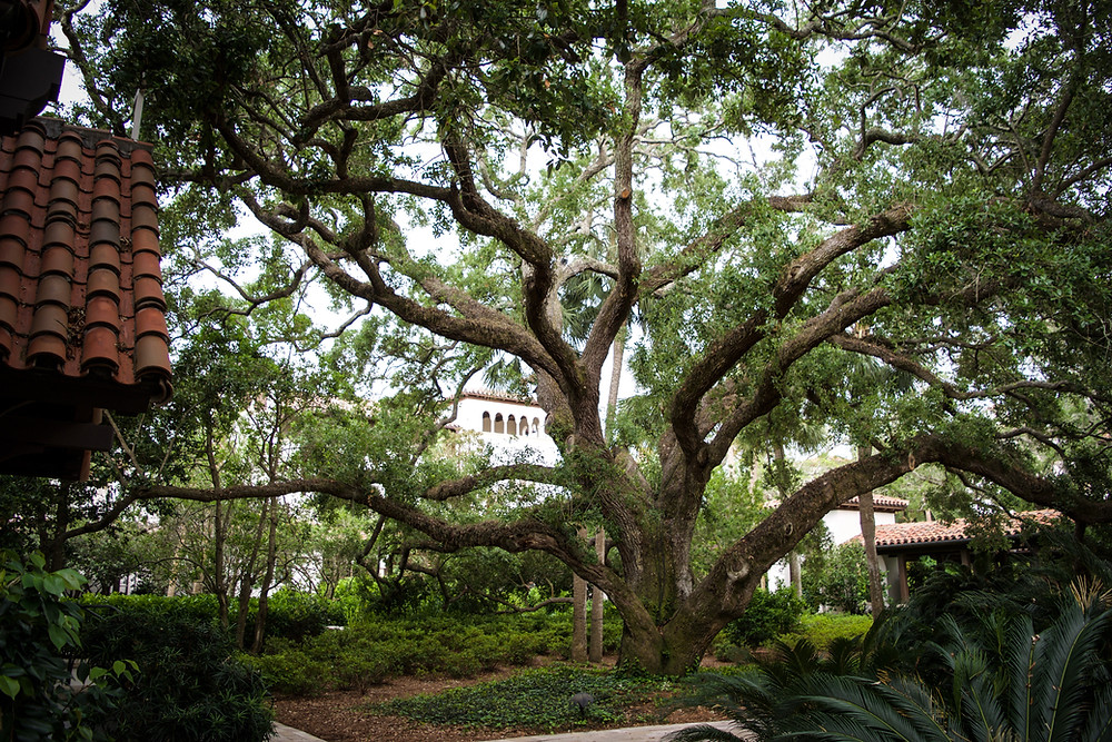 Holly Canon Blog Travel and Lifestyle Sea Island Georgia Cloister at the Sea
