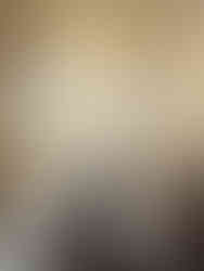 New York Public Library engagement photos