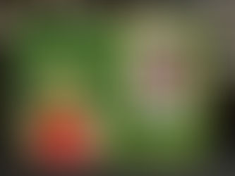 第20回クレシェンドコンサート