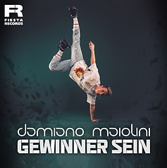 gewinner-sein-damiano-maiolini-cover-kl (1).jpg