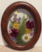 PXL_20241203_233742915.MP