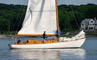 Newport 29
