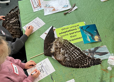 Hands on STEM activities with students