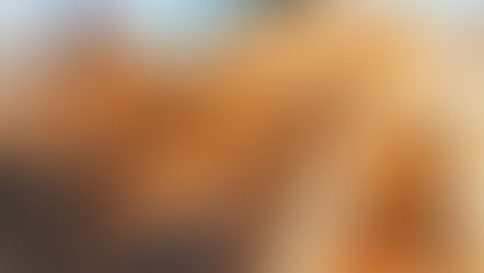 Cafe pastry in Reykjavik