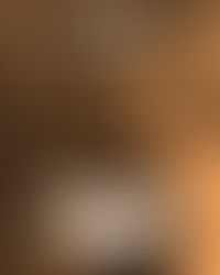 « Sélection » - Wikinico