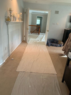 Mid Project