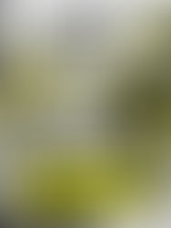 « DJ Set » - Pat & Kanagawa & Julia & Deejay Neil & DJ Cal