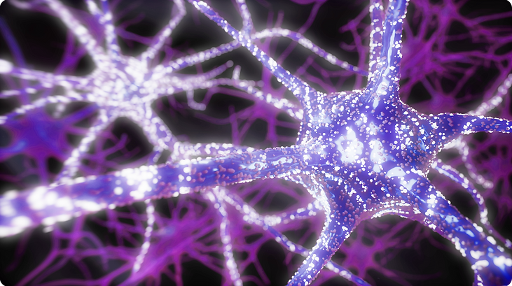 AL26-TAQ-image-neural-system.png