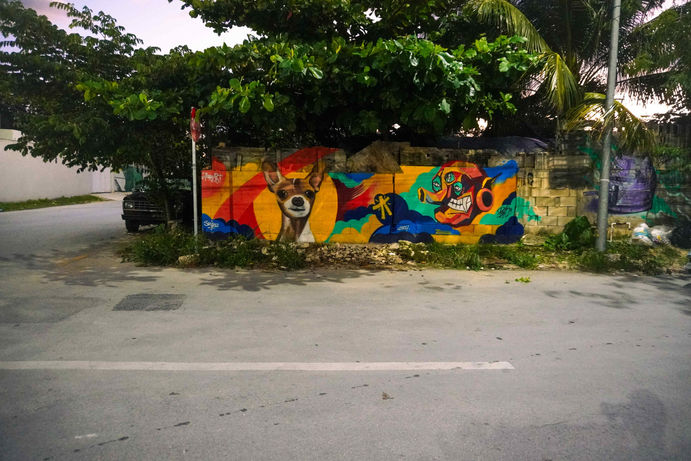 Weitwinkelansicht Bollita Graffiti Wandbild Playa del Carmen von ZjanArt und Dakpak