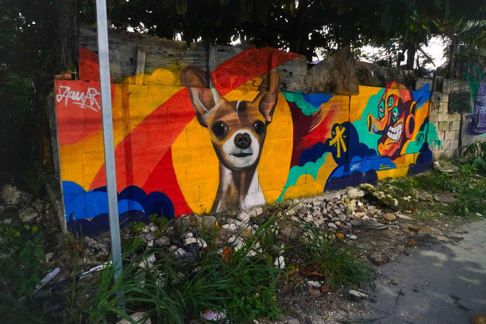 Detailaufnahme Hund Graffiti Bollita Wandbild Playa del Carmen von ZjanArt