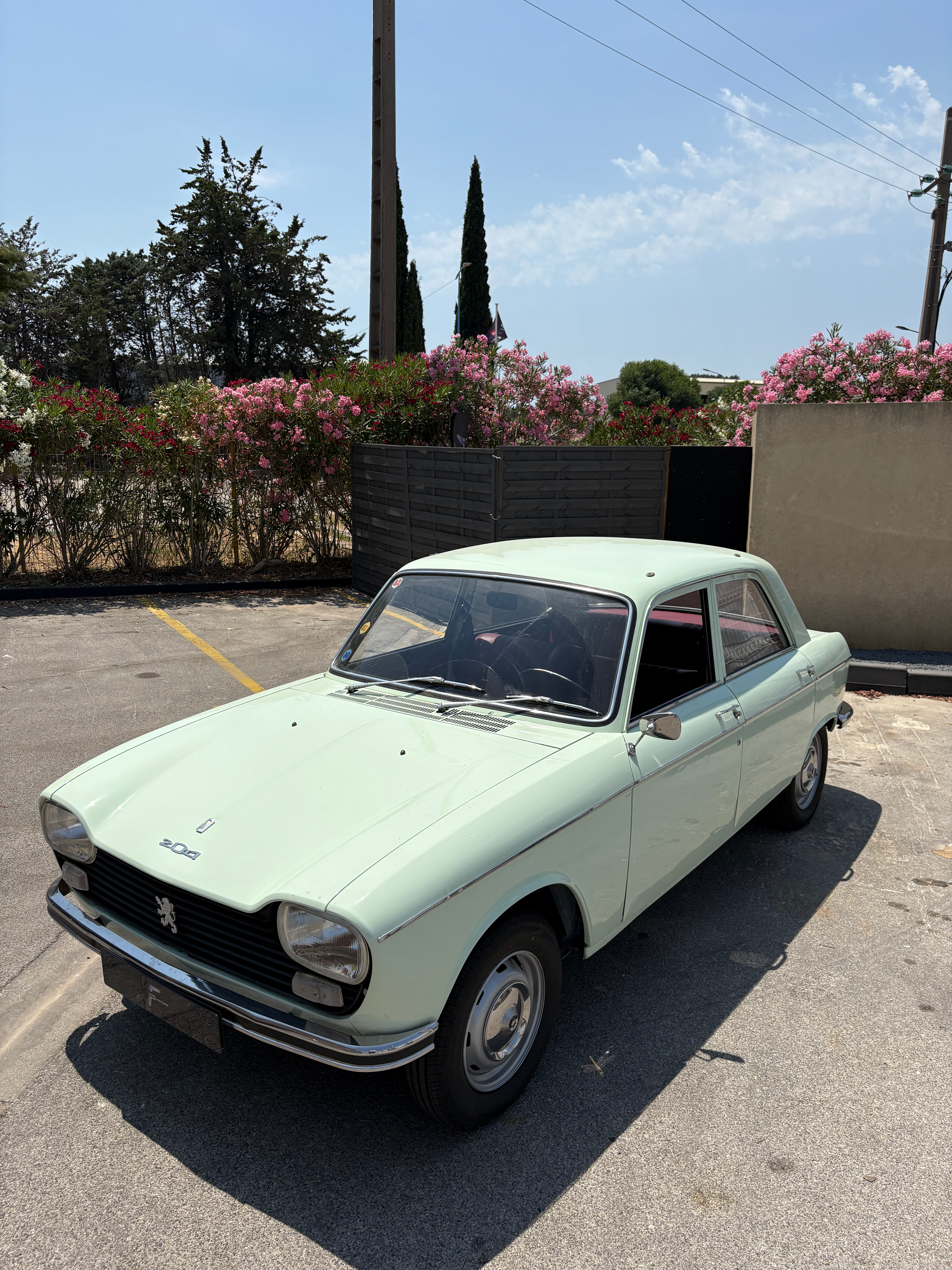 PEUGEOT 204