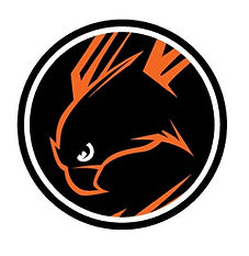 Langara Falcons
