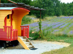 Grande roulotte peinte