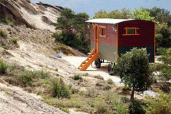 Roulotte peinte à porte latérale