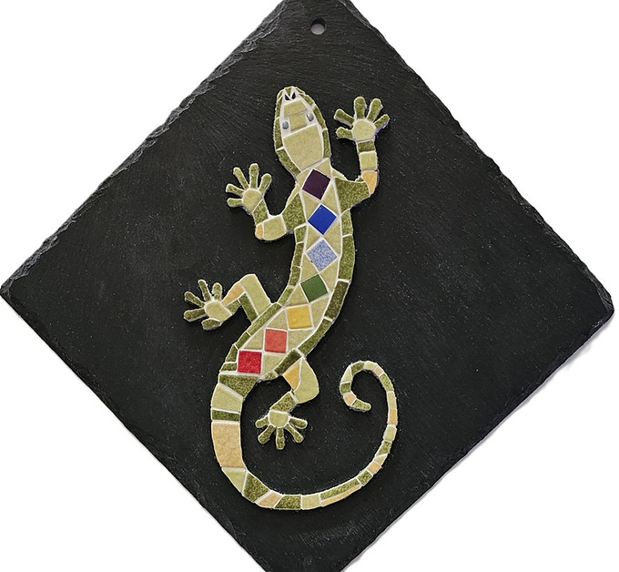 salamandre sans fond 2.jpg