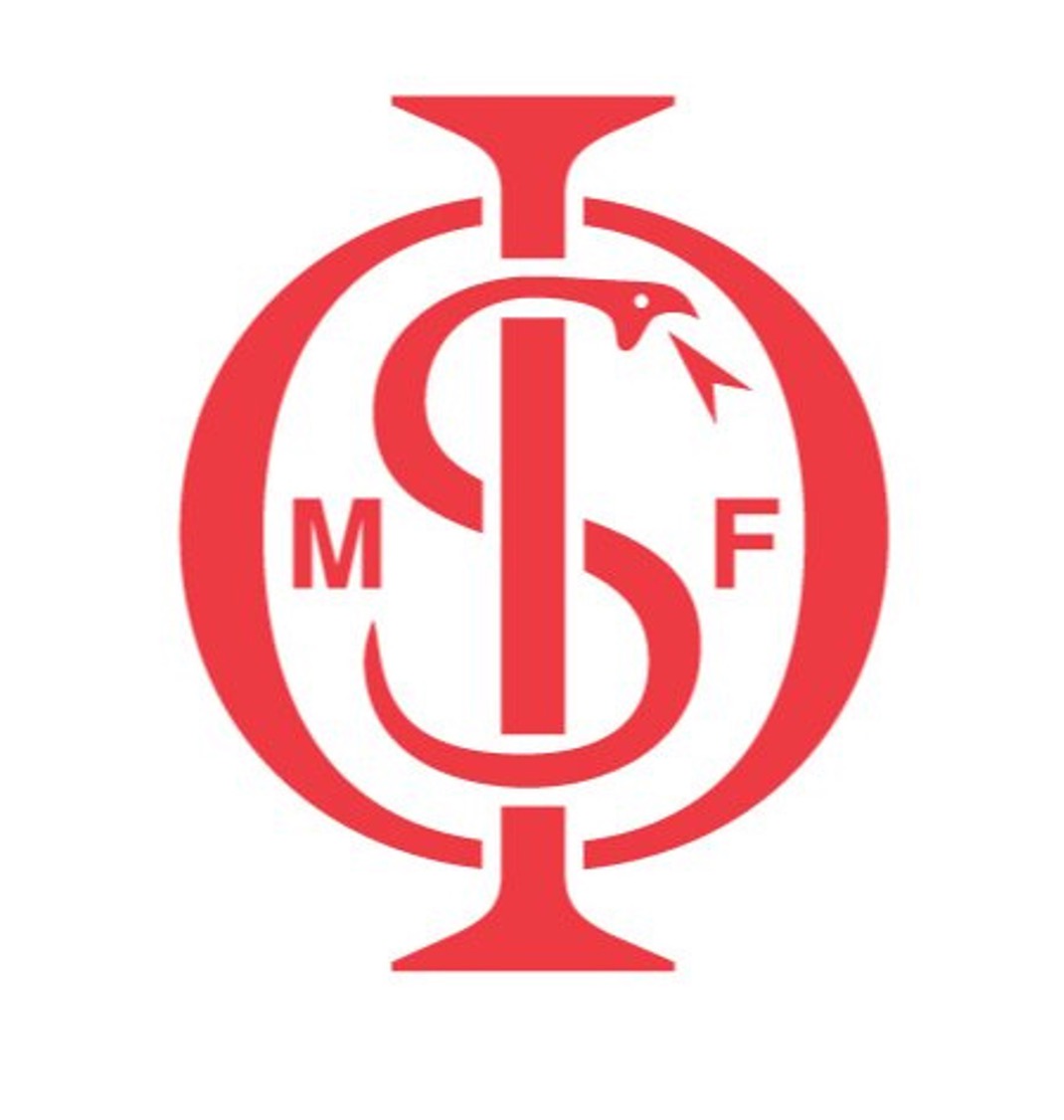 Writer: IAOMS | IAOMS Foundation
