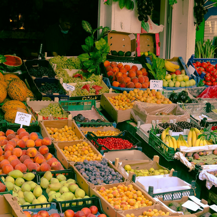 "Let Thy Food Be Thy Medicine: The Wisdom of Hippocrates in Modern Nutrition"